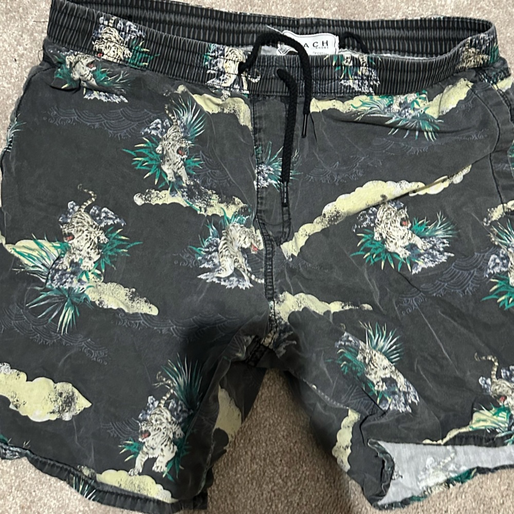 Men’s bathing suit